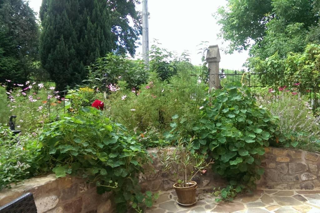 Sinnes Wandel Hof Serka Grimma Εξωτερικό φωτογραφία