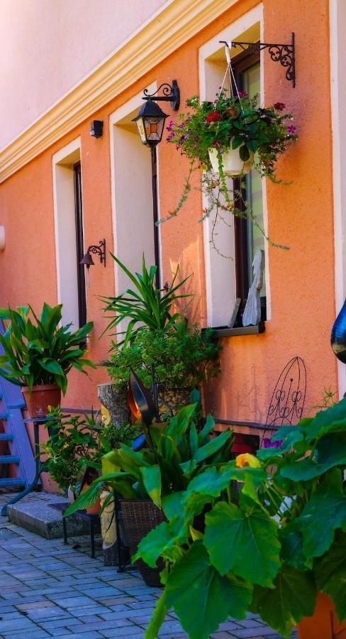 Sinnes Wandel Hof Serka Grimma Εξωτερικό φωτογραφία